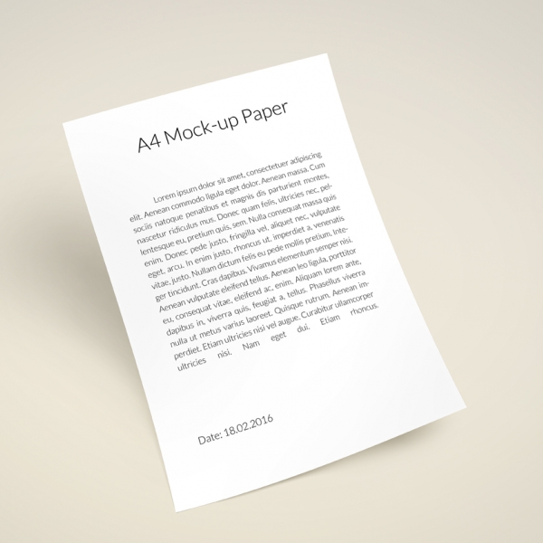 PRESENTATION MOCKUP