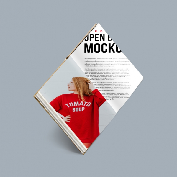 PRESENTATION MOCKUP